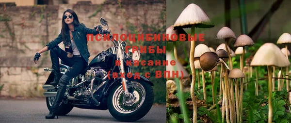 винт Михайловск