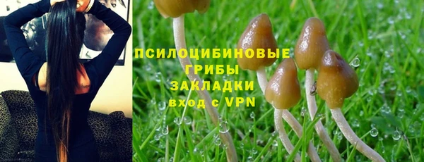 винт Михайловск