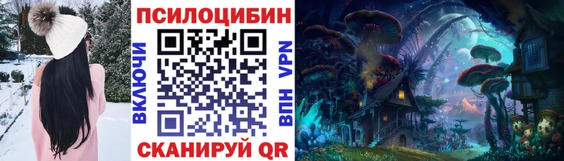 Псилоцибиновые грибы Cubensis  Ивдель 